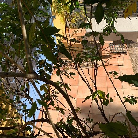 וידאובה Sous Les Pins Parasols מראה חיצוני תמונה