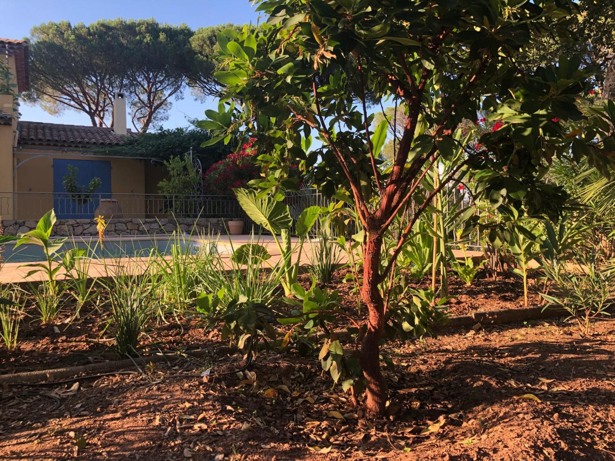 וידאובה Sous Les Pins Parasols מראה חיצוני תמונה