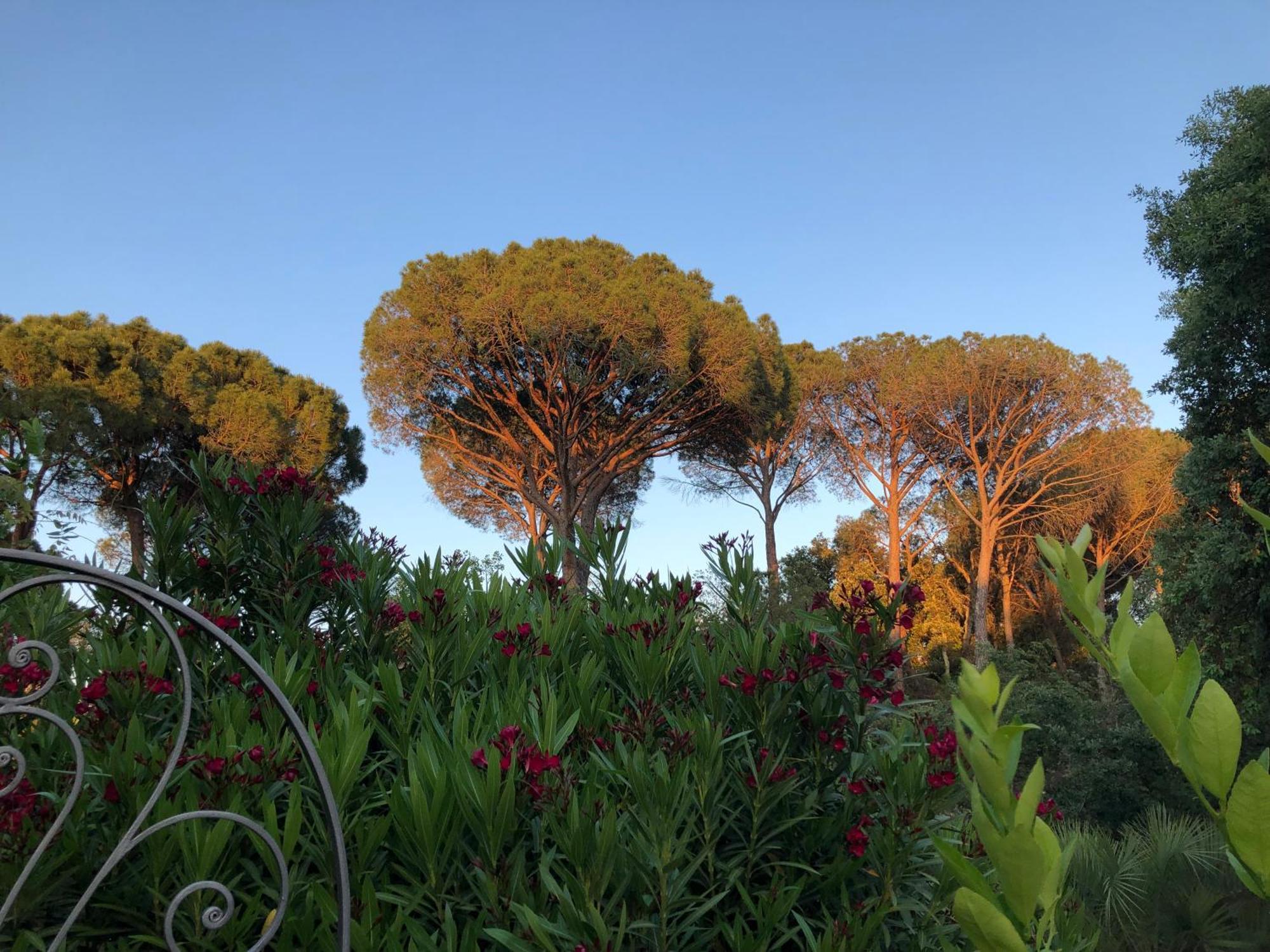 וידאובה Sous Les Pins Parasols מראה חיצוני תמונה