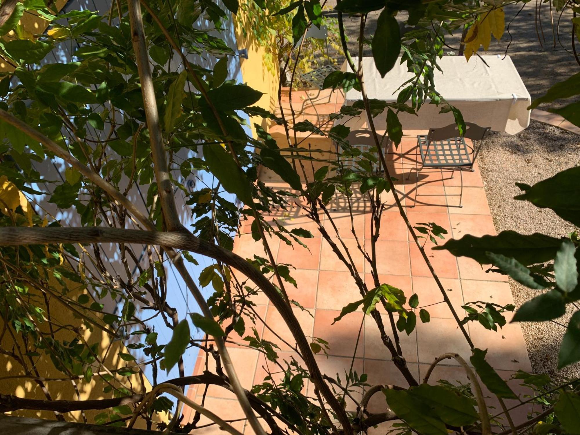 וידאובה Sous Les Pins Parasols מראה חיצוני תמונה